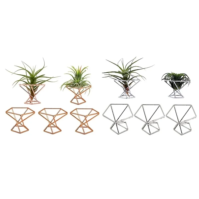 

Pack 5 Air Plant Holder Air Plants Holders Tillandsias Display Airplants Rack Metal Purifying Plant Container Air Fern Stand