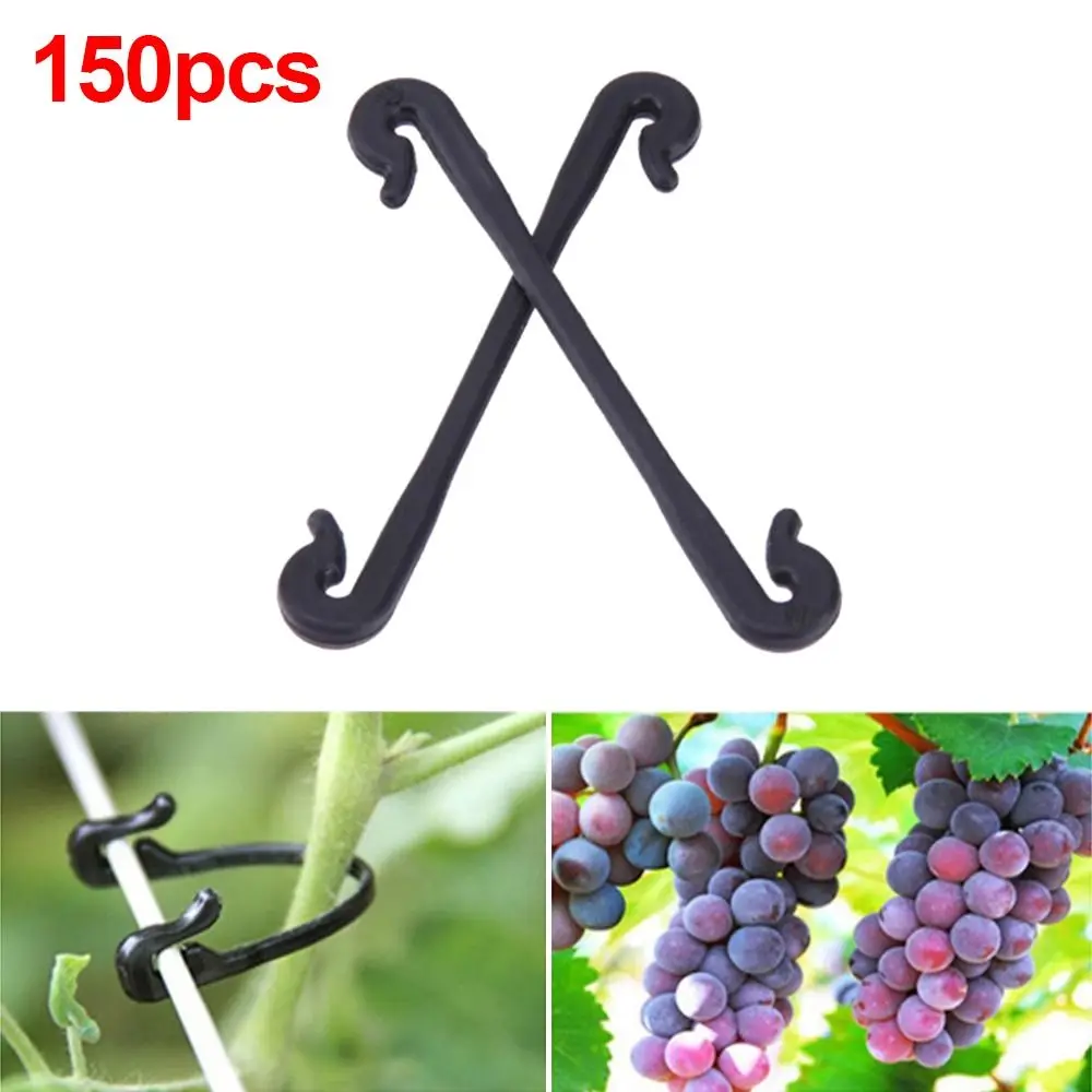 Fixing Ring Plant Vegetable Grafting Clips Grape Tool Garden Plants Buckle Vegetable Strapping Clips Vines Fasteners