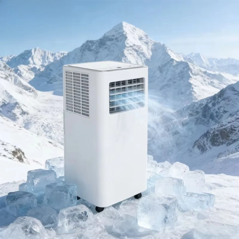 Portable Air Conditioner 7000 BTU 220V 50Hz Dual Cooling Heating Air Purification Dehumidification