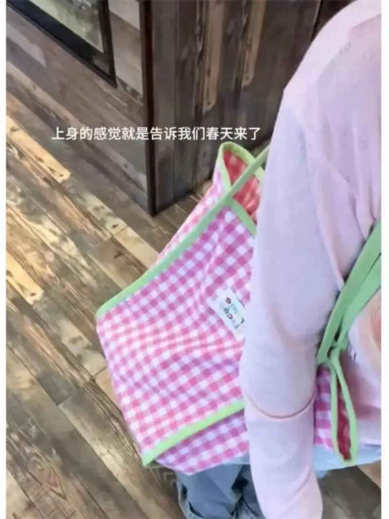 Korean Plaid Contrast Color Canvas Bag 2024 New Fashion Style Portable Bags Large-capacity Leisure One-shoulder Commuter Bag