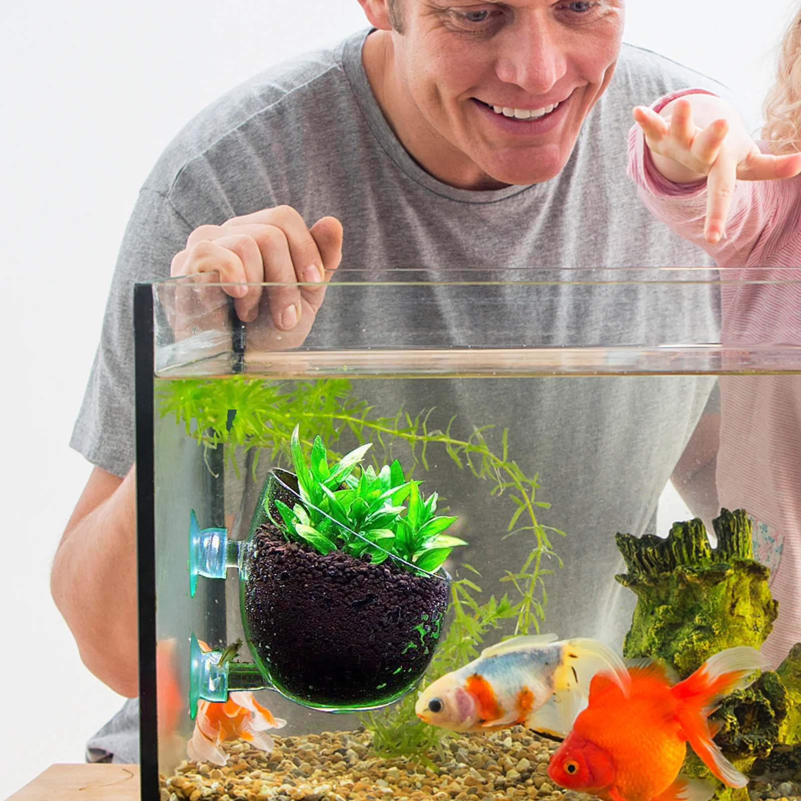 

2Pcs Glass Aquatic Plant Pots Smooth Borosilicate Cups with Bottom Air Holes for Aquarium Water Circulation Suction Cup Planter