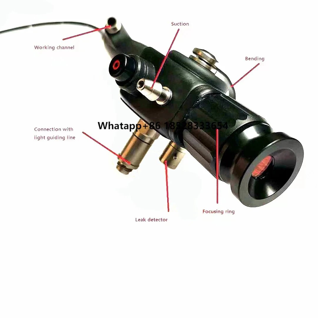 

Versatile Portable ENT Endoscope Lightweight Design With LED Illumination Detailed Imaging Of Nasal And Throat Structures