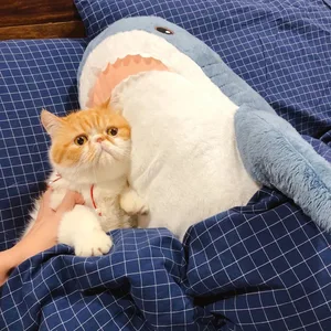 11 Main Sales Racket Shark - №5