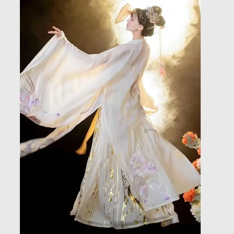 Hanfu Frauen chinesischen traditionellen Stil gedruckt Big Sleeve Shirt Retro Tang weiß Student Erwachsenen Performance Shooting Kleid