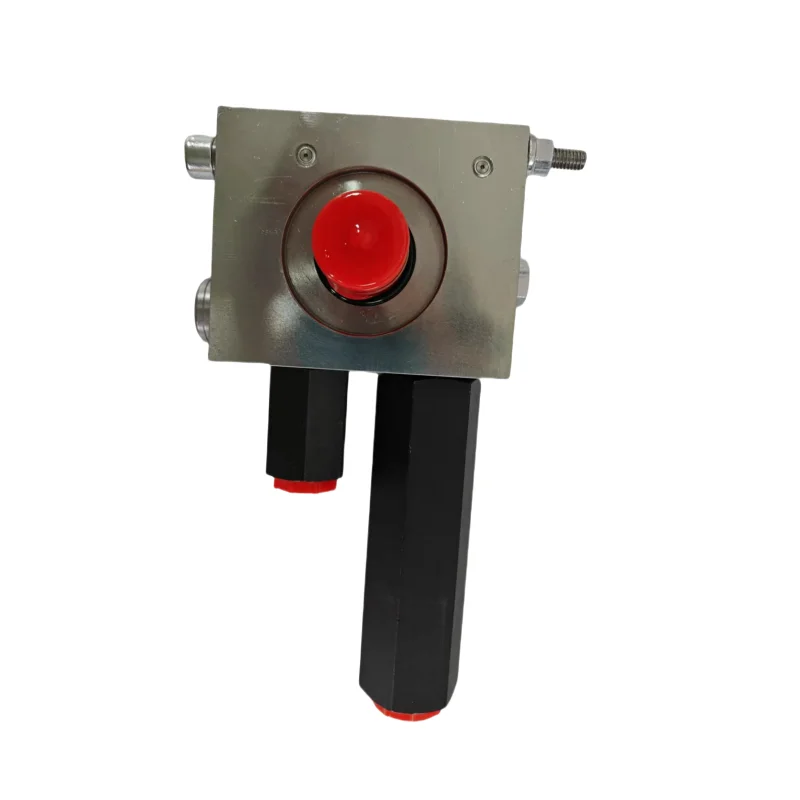 LHDV33P Balance Hydraulic Valve LHDV33P-15-E6-120/140 Hydraulic Valve Load Holding Balance Valve LHDV LHDV33P