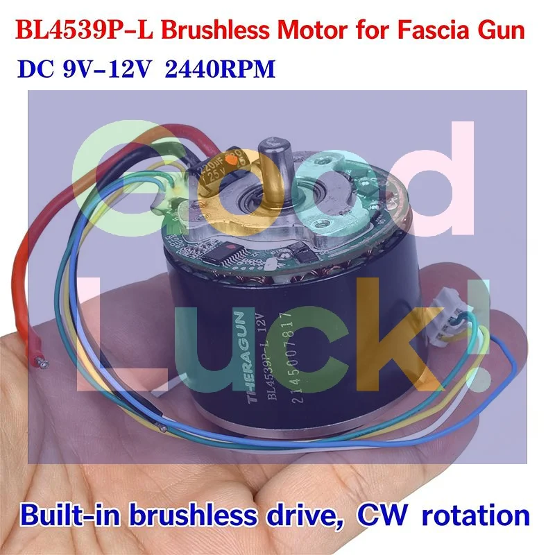 【WA】BL4539P L Brushless Motor With 2440RPM CW Rotation Perfect For Fascia  Repair Replacement Fits 9V To 12V DC