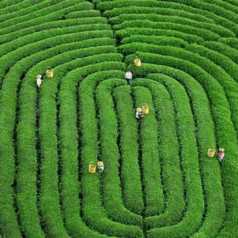 Mjx hyper go 10208 v1 v2 chassi de aço inoxidável armadura guarda proteção placa skid 1/10 rc carro atualização peças