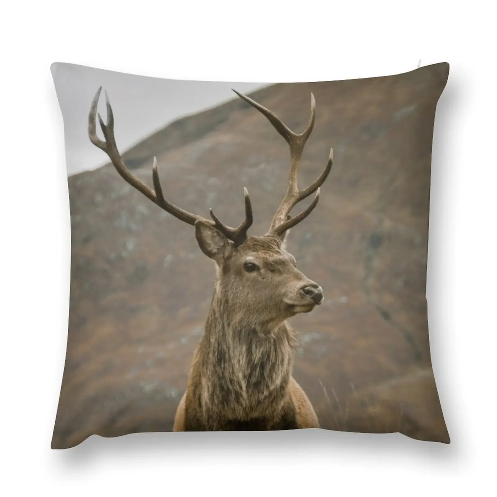 Monarch of the Glen Throw Pillow Bed pillowcases Christmas Pillow Covers pillow