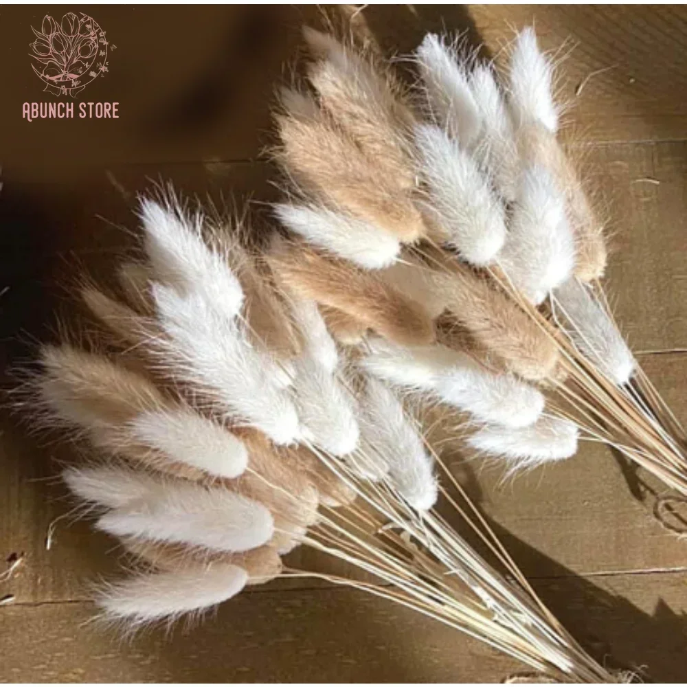 

60pcs Nature Mix Bunny Rabbit Tail Grass Fluffy Pampa Lagurus Ovatus Dried Flower Bouquet Wedding Boho Home Christmas Decoration