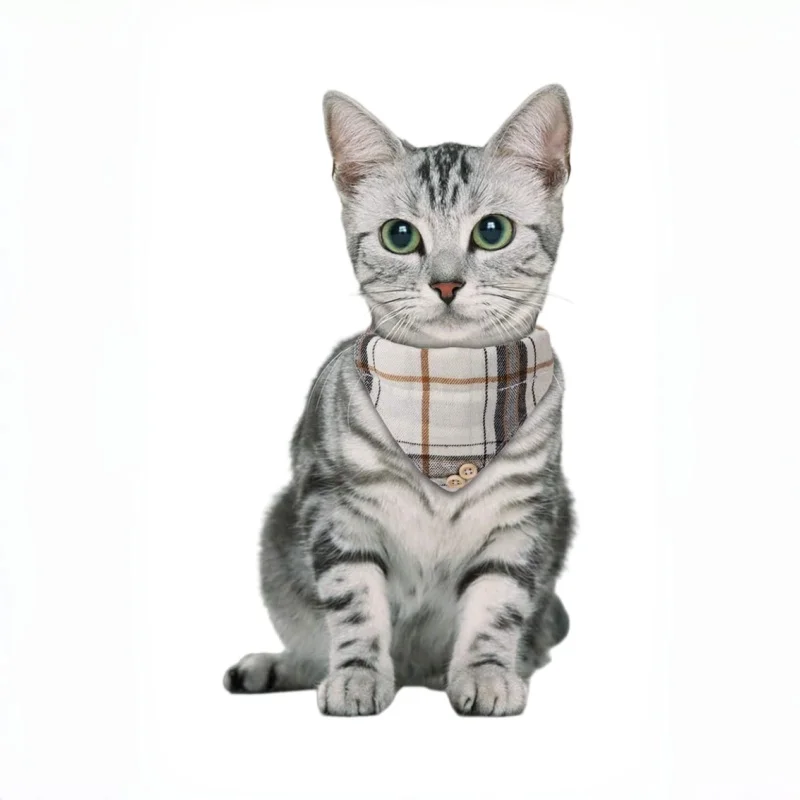 Kariertes Katzen-Halsband mit Fliege, Abnehmbares Katzen-Bandana-Halsband, 2er-Pack | Abnehmbares Bandana mit Schleife, niedlicher Charme, weicher Stoff – Detail 2