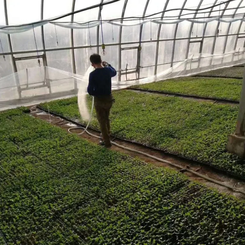 Venta caliente hecha en China Máquina automática de siembra de semillas con bandeja de precisión para tabaco, verduras y flores