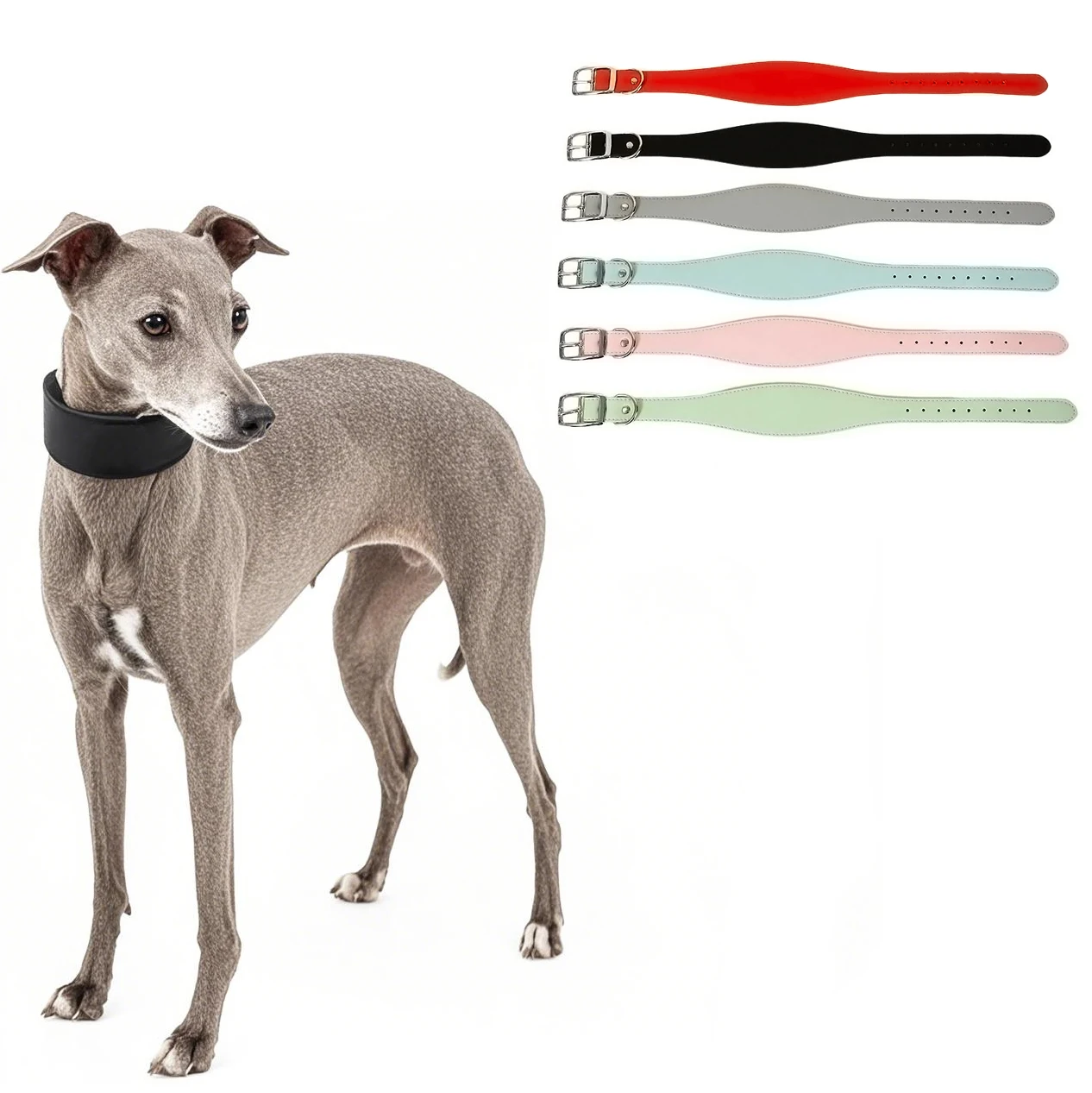 Collar ancho de cuero suave para perros para razas de sabores, cuello acolchado cómodo y seguro para Whippet, Saluki, galgo italiano