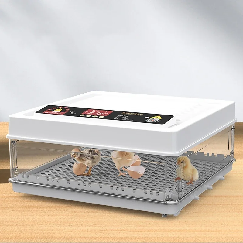 24/38 Eggs Incubator Fully Automatic Regulate Humidity Temperature Control for Pigeon Quail Duck Goose Farm Tool Egg Incubator