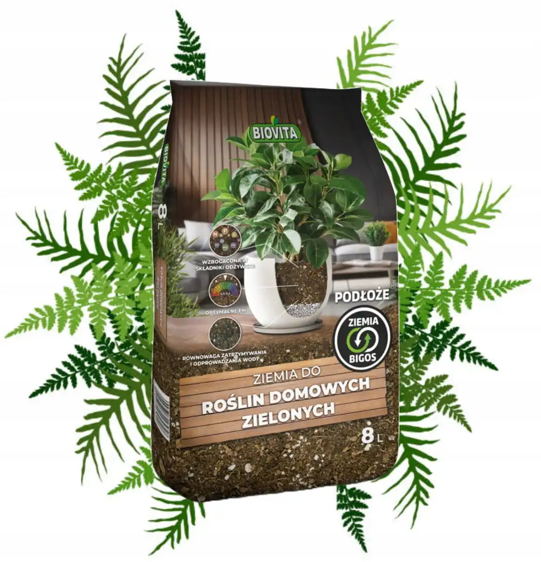 Land to Plant Home Green Bigos 8L Licht, doorlaatbaar ondergrond
