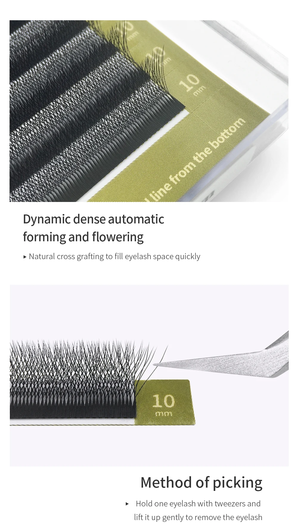 GLAMLASH 4DW 5DW 0,10mm Curl Wimpernverlängerung Künstliche Wimpern – Detail 13