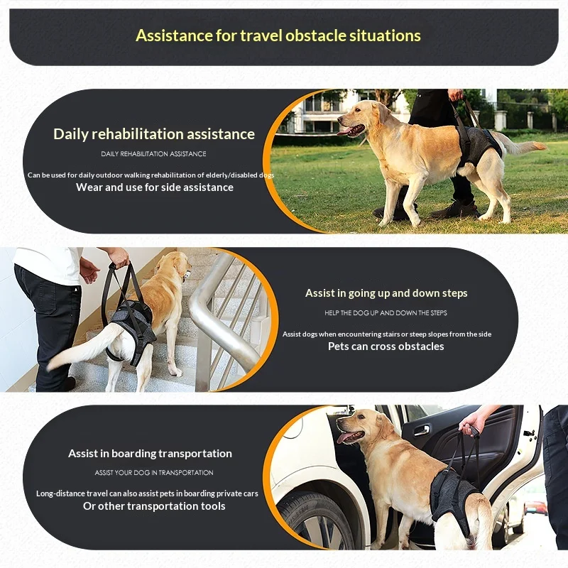 Hunde-Stützgurt der 2. Generation – rutschfeste Hüftwickel für gleichmäßige Gewichtsverteilung, Rehabilitation und Reisehilfsgürtel (CE-zertifiziert) ​