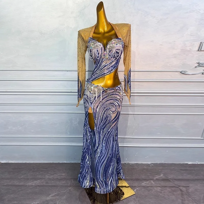 

Customized Belly Dance Costume Performance Dress Female Practice Dress Eastern Dance Samba Carnival Costumes Long Top Bras Skirt