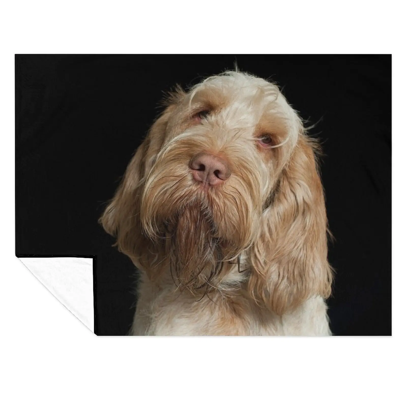 

Head tilt Spinone Throw Blanket blankets and throws Kid'S manga Blankets