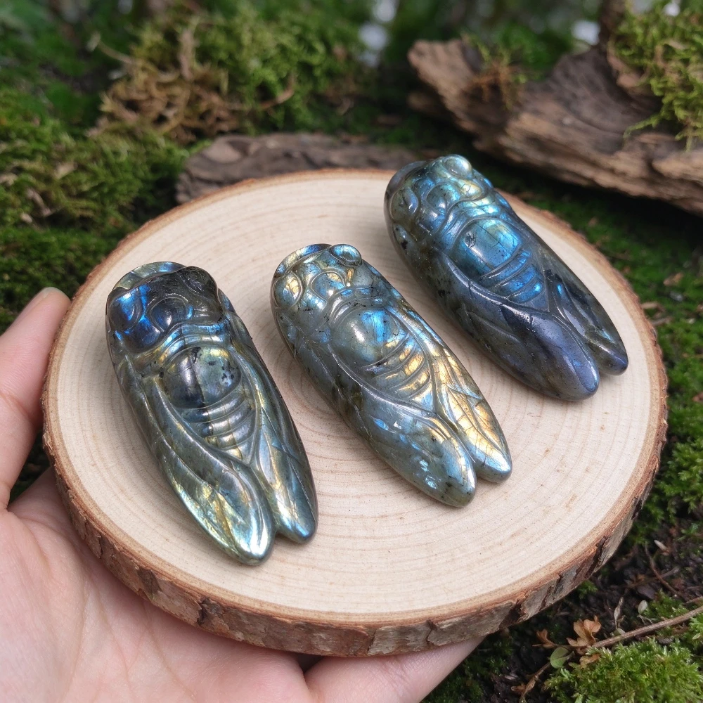 Natural Labradorite Cicada Sculpture Animal Gemstone Decoration Special Crystal Ornament for Home and Tabletop Accessory