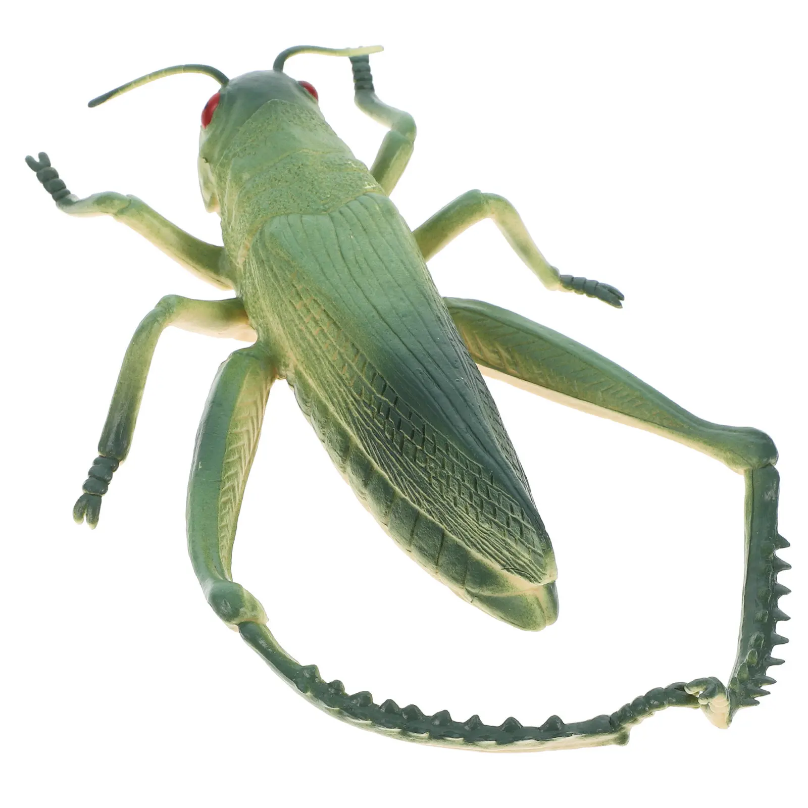 

Realistic Green Grasshopper Outdoor Playset Educational Insect Party Decorations Plastic Grasshoppers Figures Backyard Garden