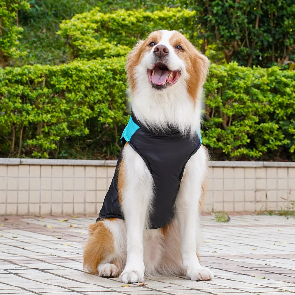 Roupas de inverno para cães, colete acolchoado para cães pequenos e grandes, roupas para caminhada ao ar livre, golden retriever, roupas para animais de estimação, acessórios para cães