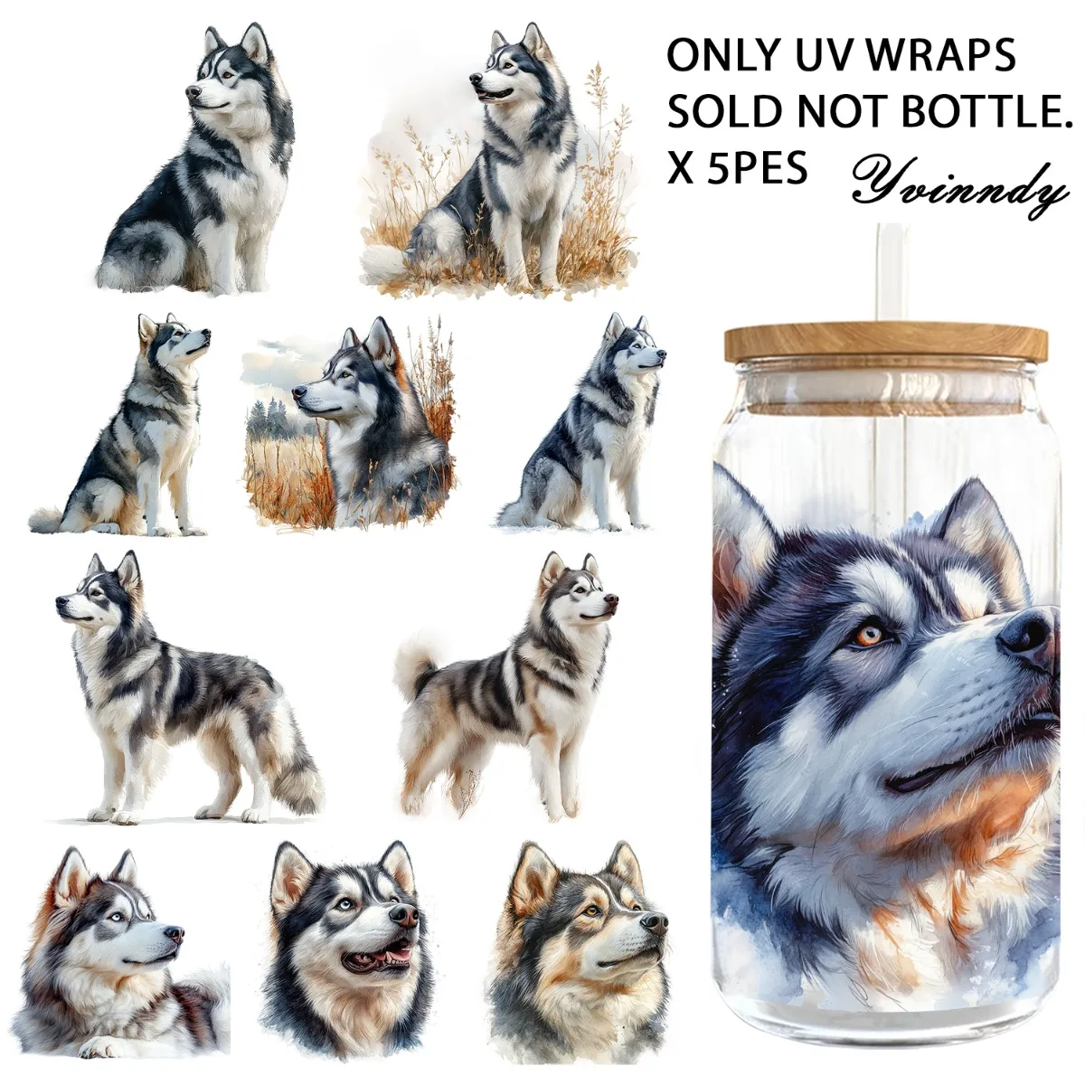5Pcs/Set Of 16OZ Uv…
