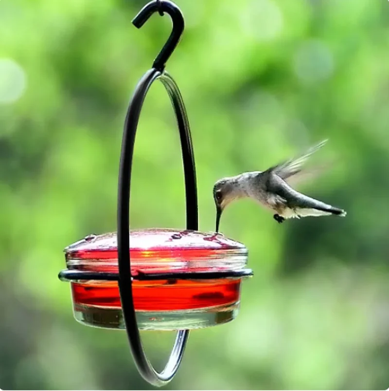 Hummingbird Feeder Tray with Red BowlOutdoor Humming Bird Feeder Attract Birds for Outside Garden Backyard Patio Deck