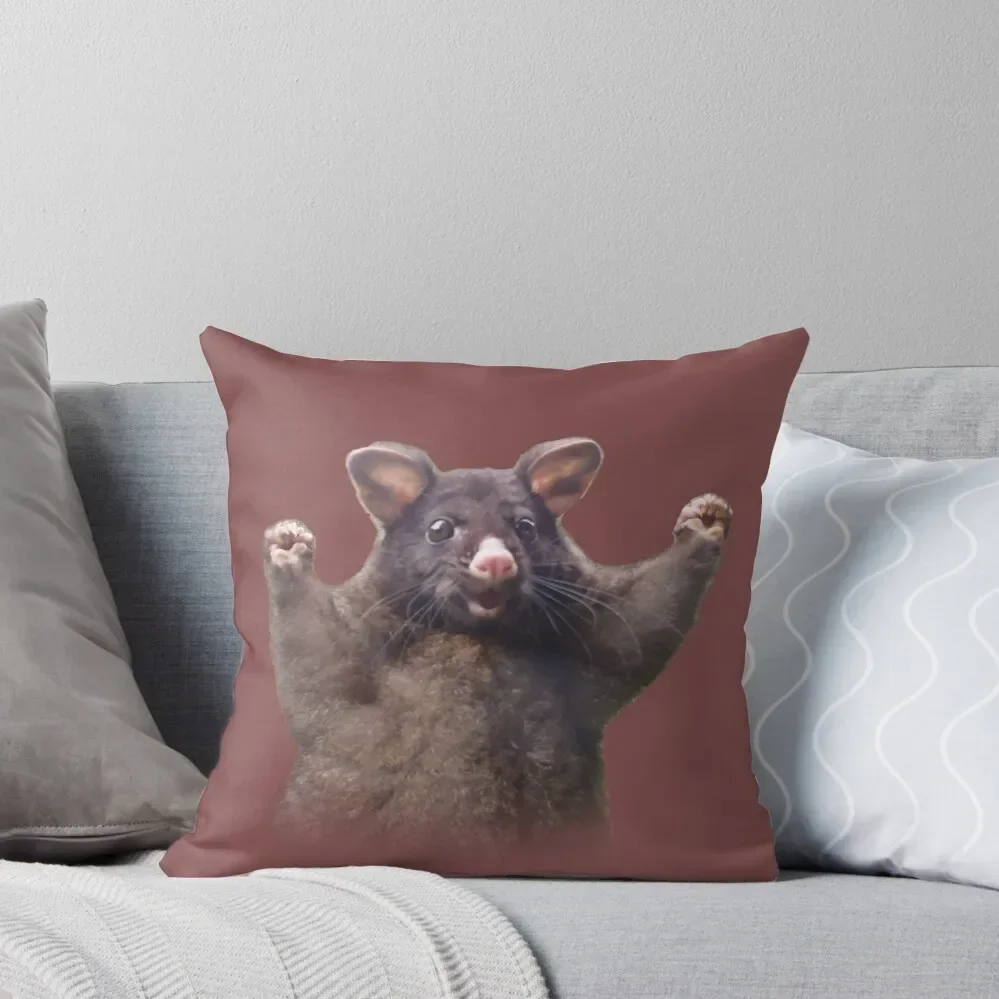 wahoo rat - positive possum meme Throw Pillow Sofa Covers For Living Room Custom Cushion Photo Sitting Cushion Pillow