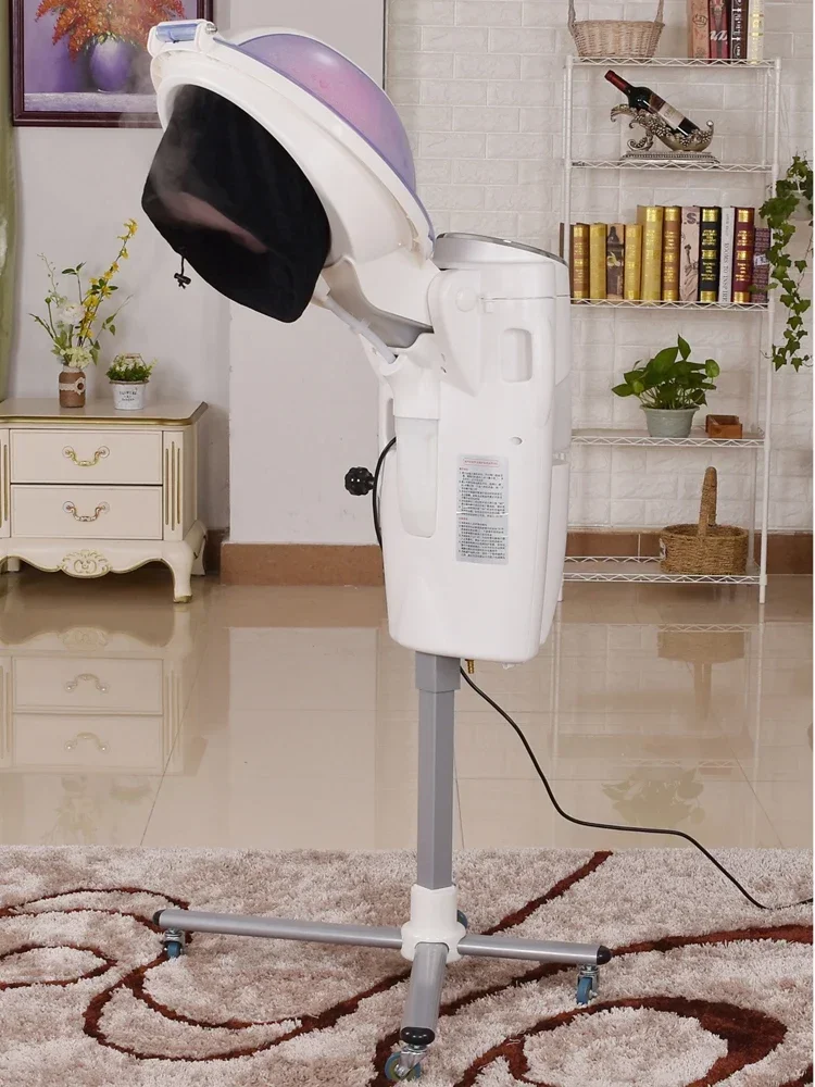 ร้านทําผมมืออาชีพโอโซนอินฟราเรด LED Micro Mist Hair Spa Steamer เครื่อง