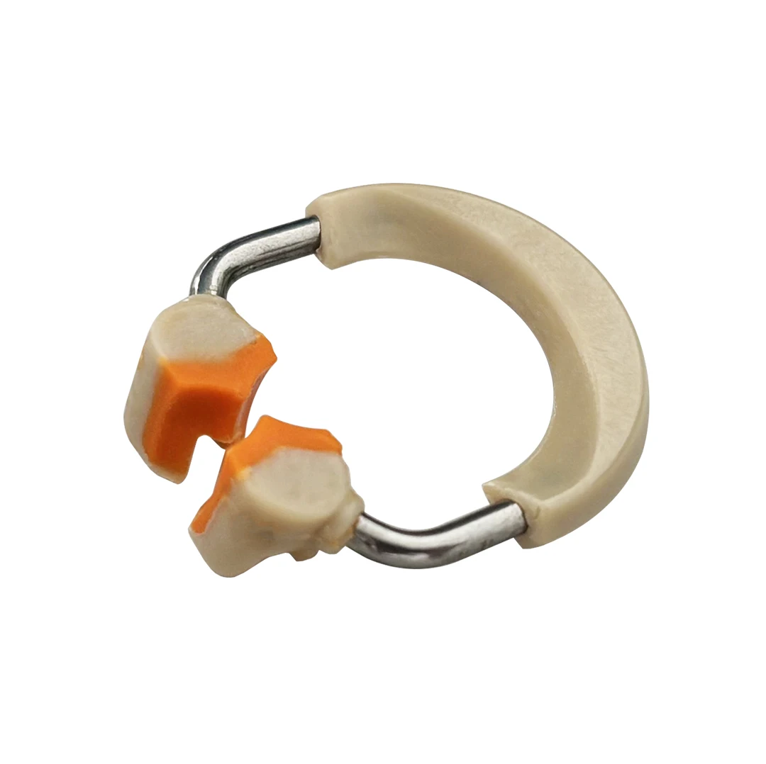 1PC Dental NITI Clamp Ring Metal Matrices Sectional Contoured Matrix System Clip Premolar Molar Dentist Tools Dentistry Material