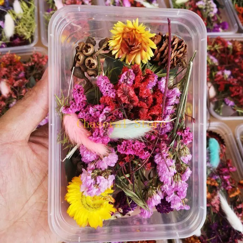 E7ce 1 doos echte mix gedroogde bloemen voor hars sieraden planten geperste bloemen maken ambachtelijke diy accessoires