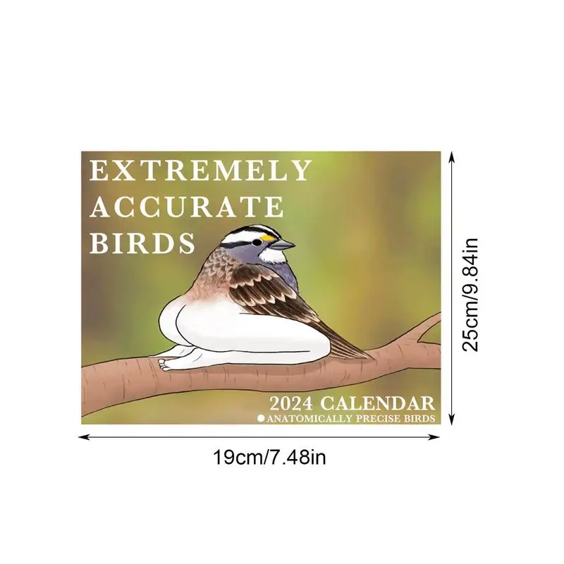 2024 Calendar Of Extremely Accurate Birds Decorative Wall Monthly Calendar For Bird Lovers Room Calendars For Bedroom Living