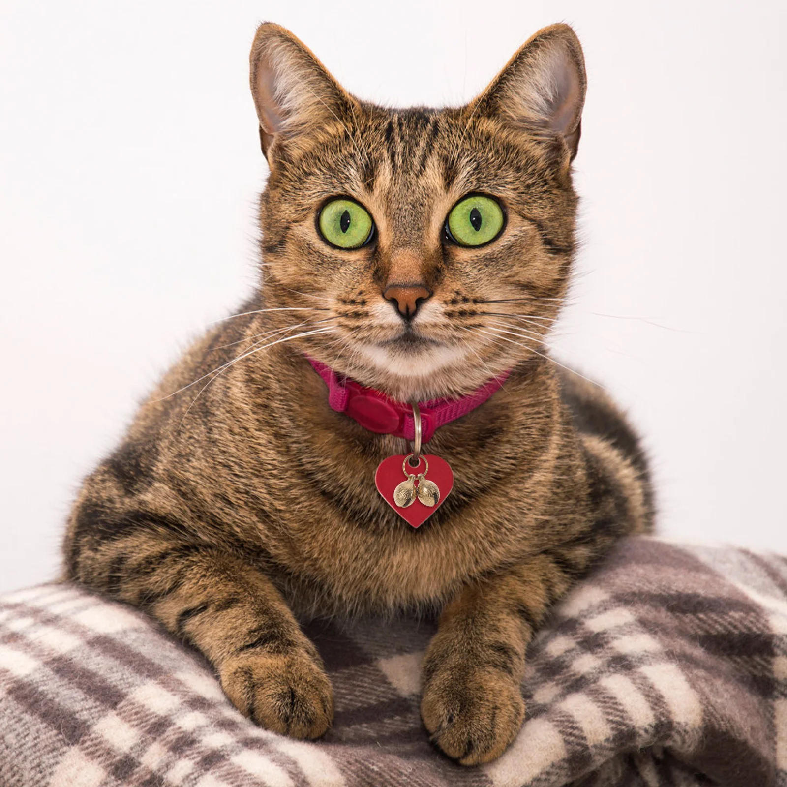 

20Pcs Pet Collar Bells Unique Tiger Head Design Multi-Function Dog Cat Training Decoration Pet Alarm Bell Collar Pendant