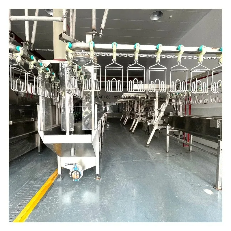 Automatic Poultry Slaughter Line for Abattoir Industries Complete Chicken Slaughterhouse with Core Motor & Bearing Components