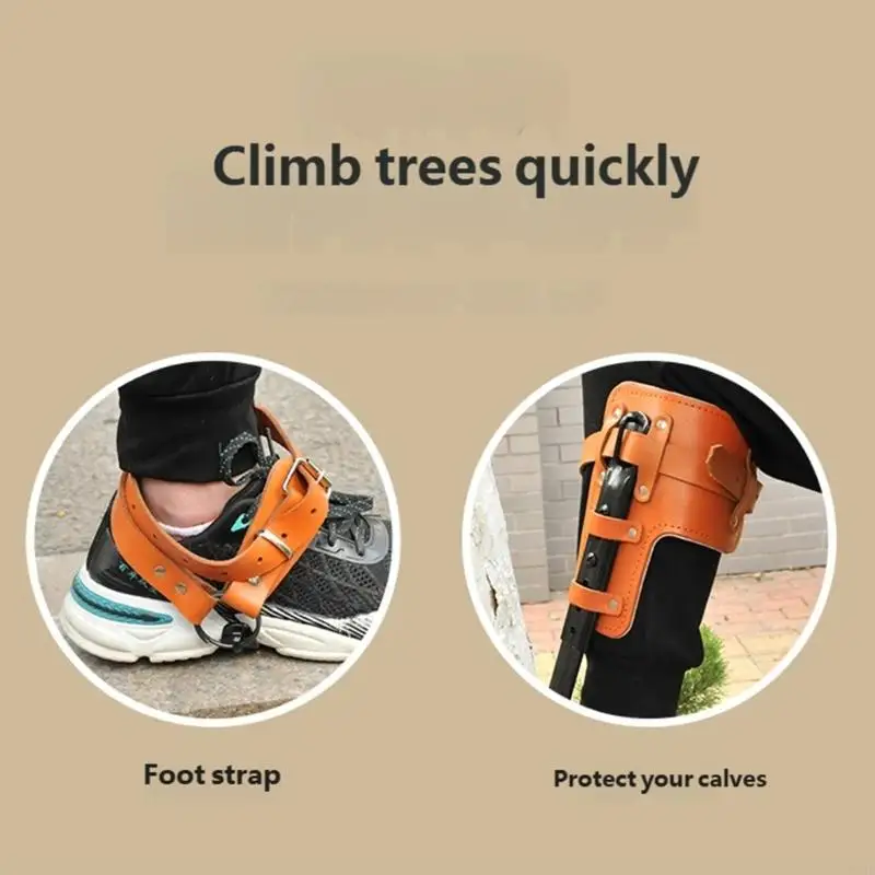 Robuste Kletterspikes aus geschmiedetem Stahl mit gepolstertem Kissen, hochfestes Design für Baumklettern und Outdoor-Abenteuer – Detail 9