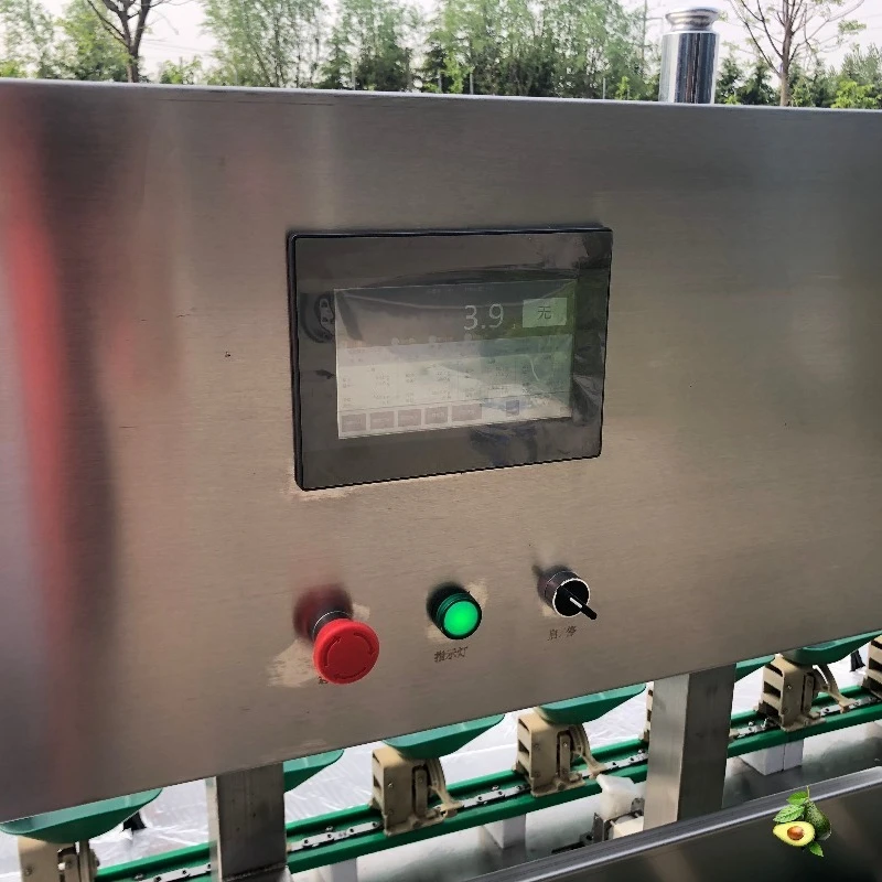 Modular Box Weight Sorting Machine Custom Grade Setting Intelligent Grading Equipment for Orchard Processing Line