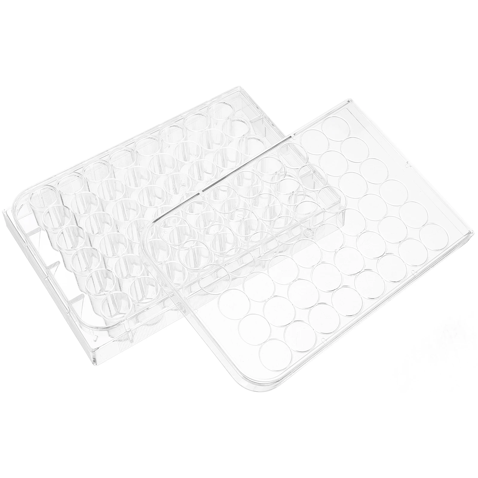 

Culture Plate Cell for Laboratory Dish Tray with Lid Clear Petri Science Dishes