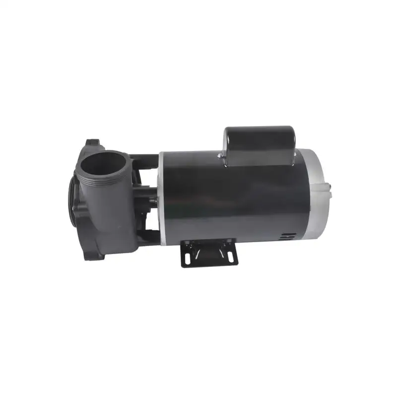 

4HP 230V 2-Speed Spa Pump 56 Frame Black Side Discharge Model 3721621-13