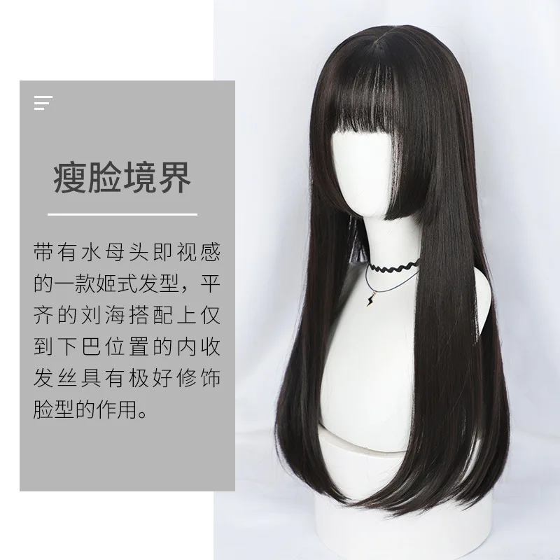 

Black Long Straight Wig for Women, Natural and Realistic Full Head Princess Cut