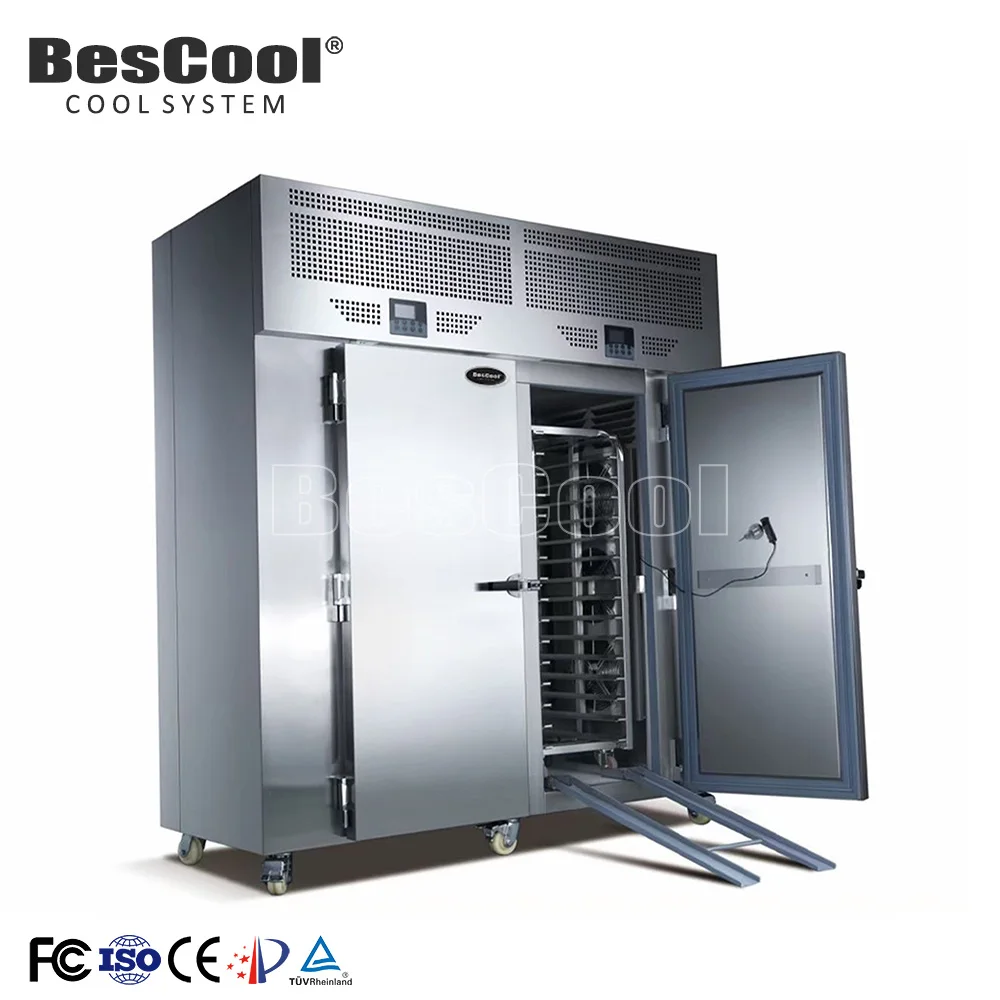Bescool Nuevo gabinete industrial para congelador y frigorífico para almacenamiento de atún congelado en hotel a la venta