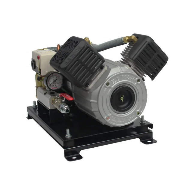 

12V DC Weatherproof High Efficiency Long Cycle Oil Free Professional Air Brake Mini Onboard Twin Piston Air Compressor Pump