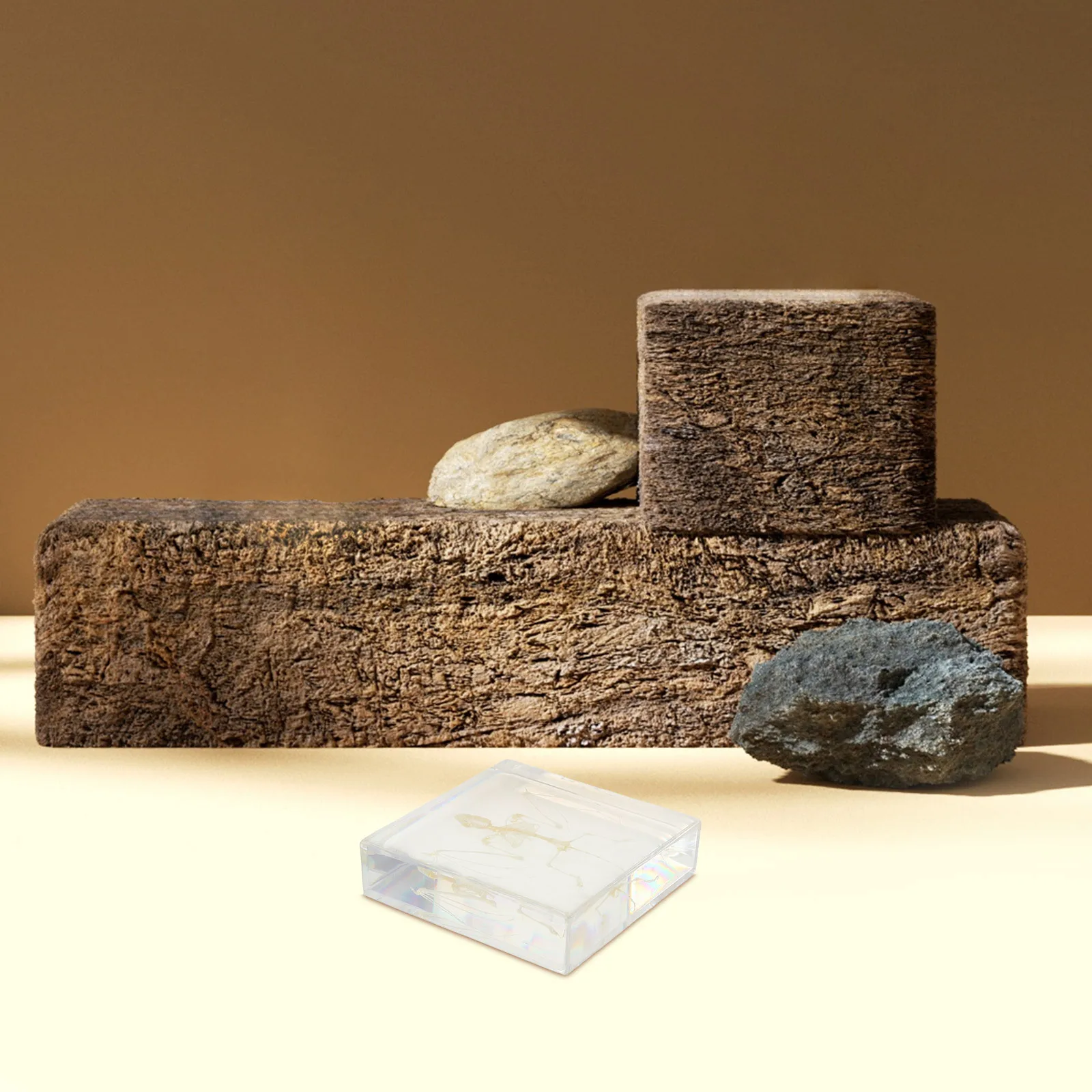 

Real Bat Bone Specimen Decor: Hand Crafted Animal For Science - Education Halloween Party And Unique Home Decoration