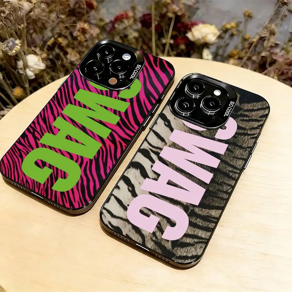 Luxury Y2K Style SWAG Phone Case For iPhone 17,16,15,14,13,12,11 Plus,Pro Max,XS,Colorful Silver Phone case Funda Cover