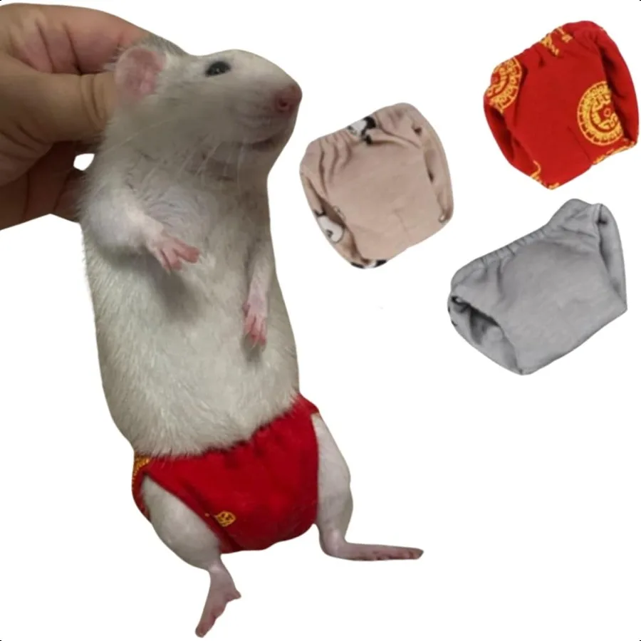 

Squirrel DiapersHighly Absorbent with Strong Flexible Hook and Loop Pants No Leak Reusable Diapers Urine Wet Pants for Squirrel
