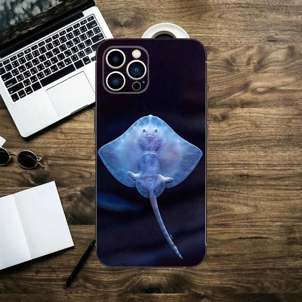 حافظة هاتف Animal Manta Ray لهاتف iPhone 16,15,14,13,12,11,XS,XR,X,8,7,Pro,Max,Plus,mini غطاء أسود من السيليكون