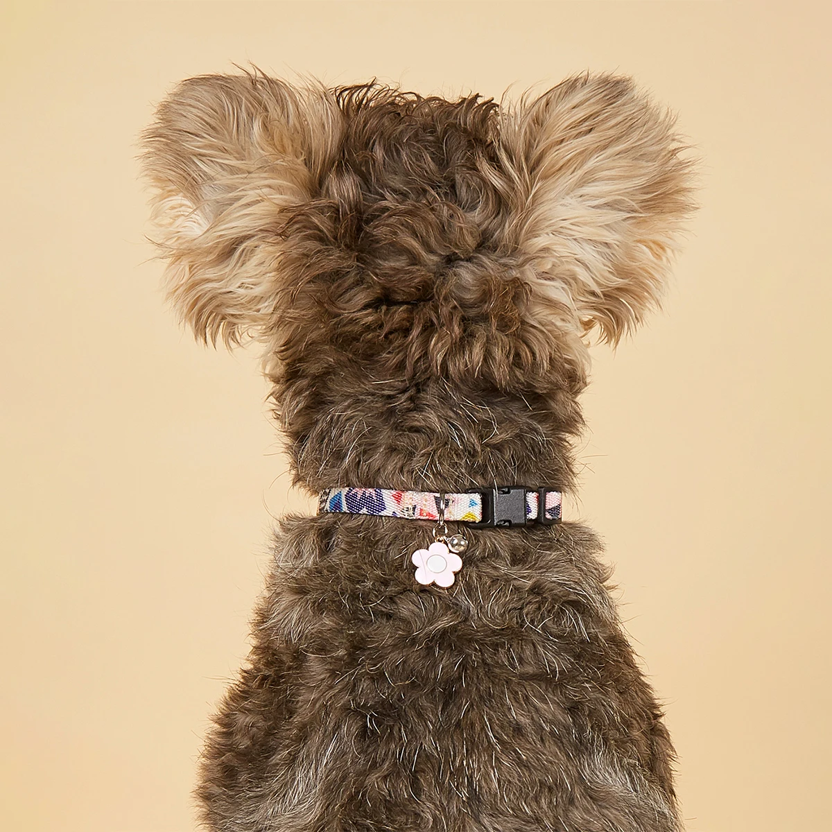 Charm- und Glockenhalsband mit buntem Graffiti-Druck, verstellbares Haustierhalsband, neues Design, modischer Halsring für Katzen und Hunde, Anti-Flucht-Schlaufe – Detail 9