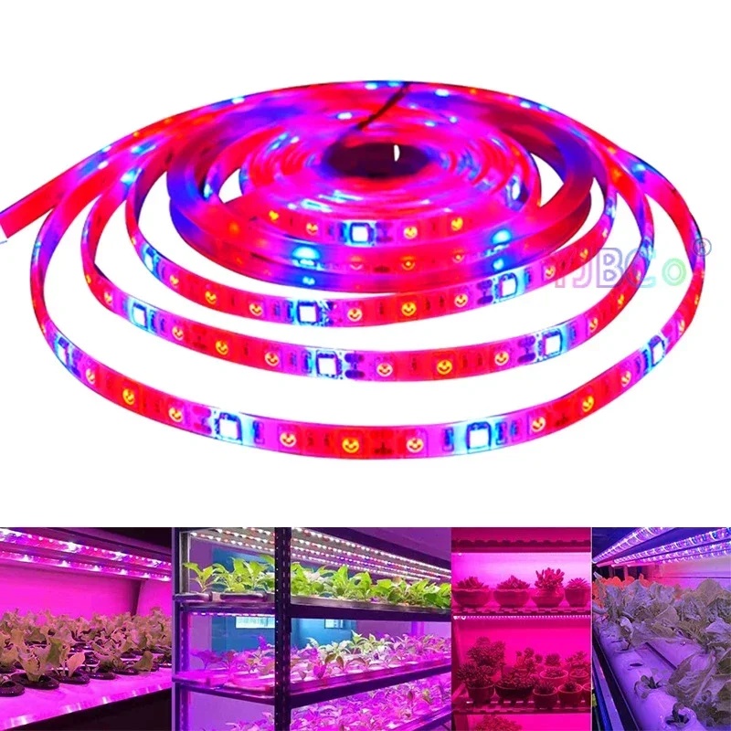 

12V 60LEDs/m 5M Phyto Lamps Full Spectrum LED Strip Light SMD 5050 LED Fitolampy Grow Lights For Greenhouse Hydroponic plant