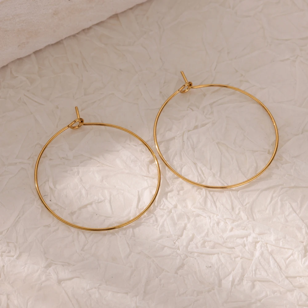 Minimalist Gold Color Hoop Earrings for Women Stainless Steel Earrings Plain Simple Ear Jewelry Christmas Gift Freeshipping Item