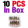 10Pcs In Box