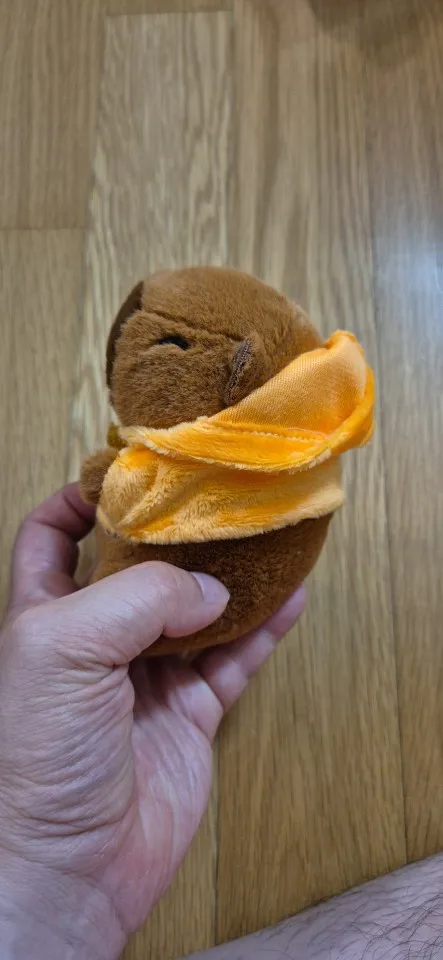 리뷰 사진